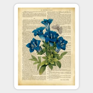 Botanical print, on old book page - garden flowers and butterfly Sticker